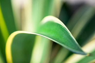 作者打不过也得练 《星露谷物语》作者终于达成游戏全成就